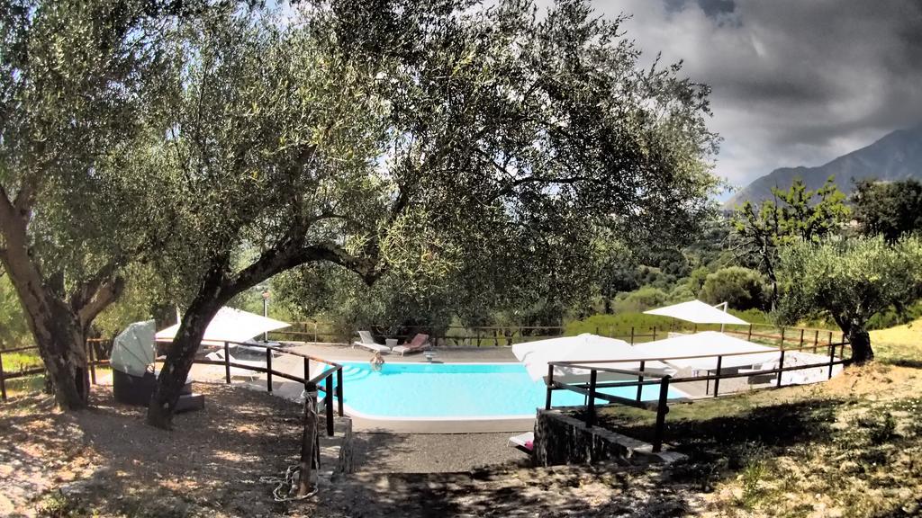 Tenuta Terre Di Bosco Oasi Di Relax Nel Cilento Сан-Джованни-а-Пиро Экстерьер фото
